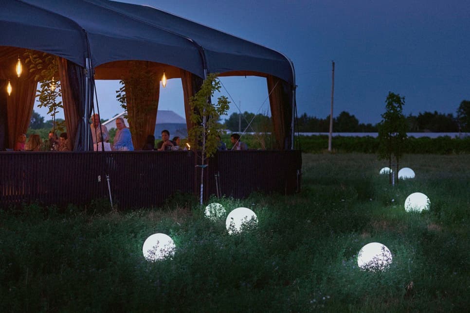 Visit Pearl Morissette