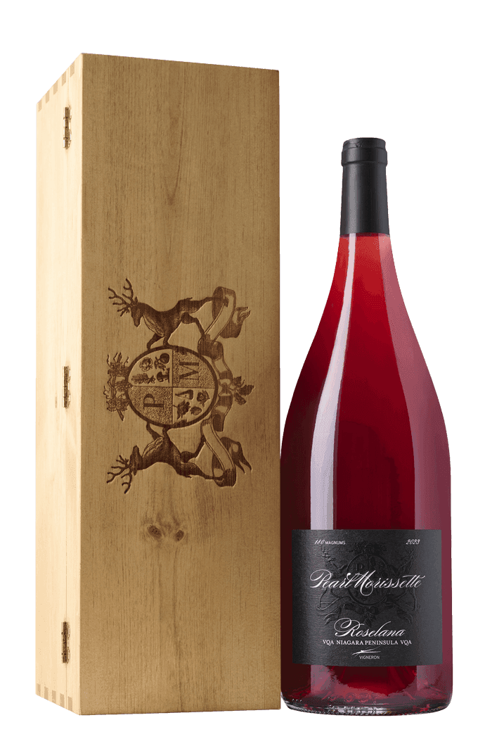 Roselana Magnum 2024