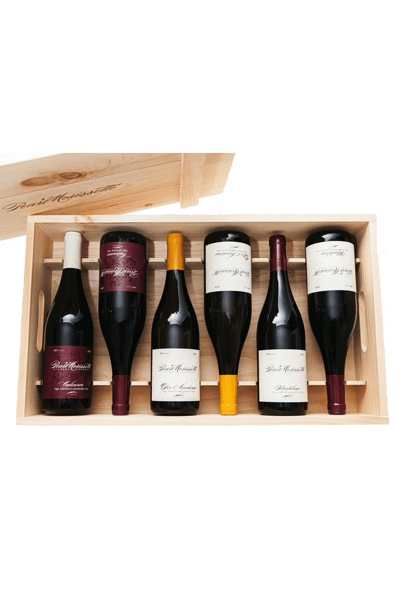 Special Case (12 Bottle)